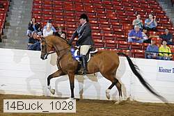 14buck_1028 proof