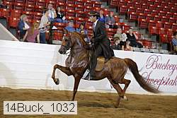 14buck_1032 proof