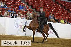 14buck_1035 proof