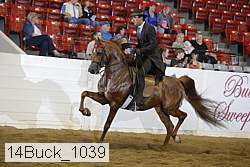 14buck_1039 proof