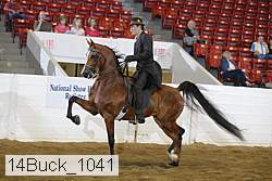 14buck_1041 proof