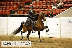14buck_1043 proof