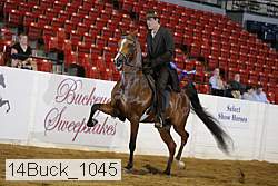 14buck_1045 proof