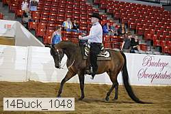 14buck_1048 proof