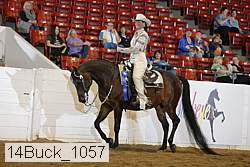 14buck_1057 proof