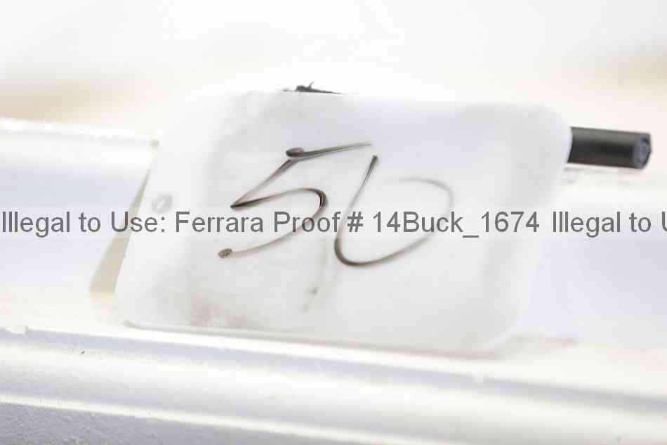 Proof 14buck_1674