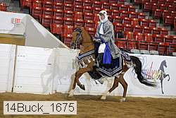 14buck_1675 proof