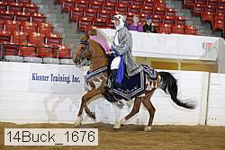 14buck_1676 proof