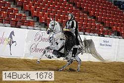 14buck_1678 proof