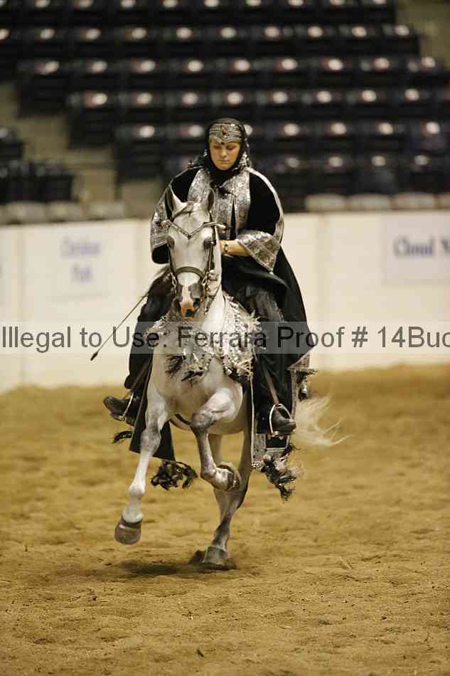 Proof 14buck_1679