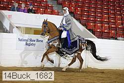 14buck_1682 proof