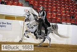 14buck_1683 proof