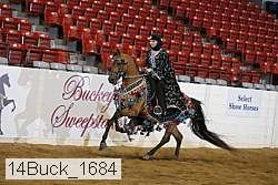 14buck_1684 proof