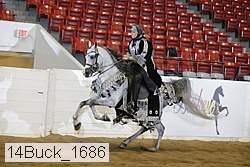 14buck_1686 proof