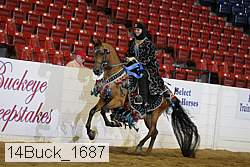 14buck_1687 proof