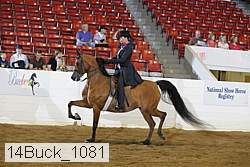 14buck_1081 proof