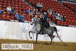 14buck_1082 proof