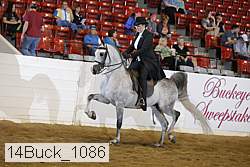 14buck_1086 proof
