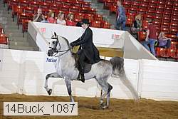 14buck_1087 proof