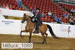 14buck_1088 proof