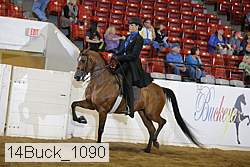 14buck_1090 proof