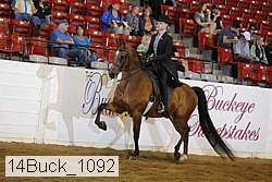 14buck_1092 proof