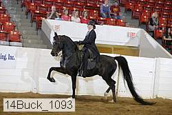 14buck_1093 proof