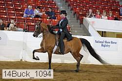 14buck_1094 proof