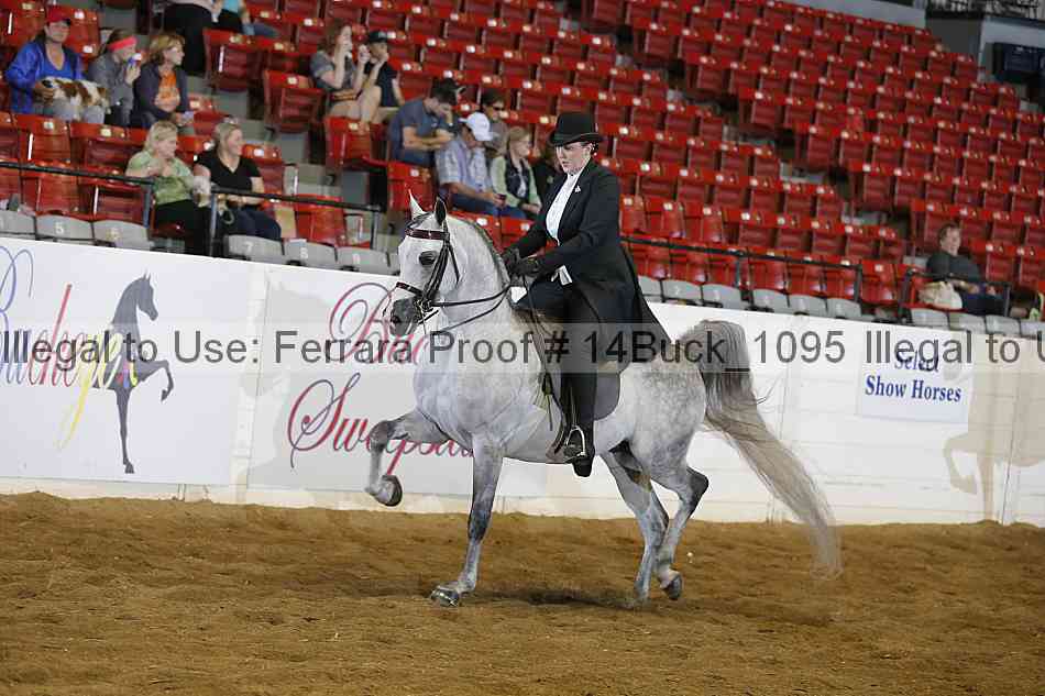 Proof 14buck_1095