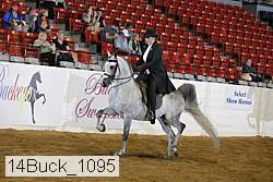 14buck_1095 proof