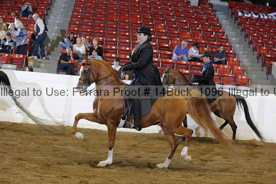 Proof 14buck_1096