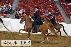 14buck_1096 proof