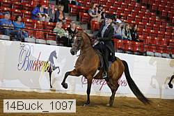 14buck_1097 proof