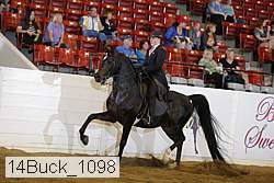 14buck_1098 proof
