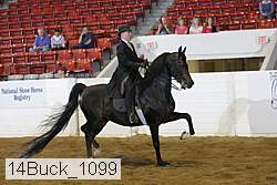 14buck_1099 proof