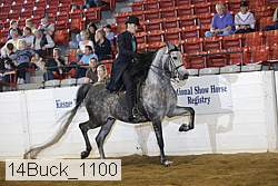 14buck_1100 proof