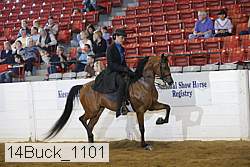 14buck_1101 proof