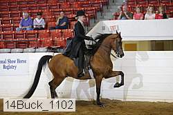 14buck_1102 proof