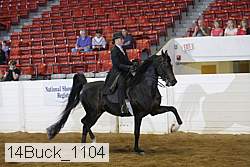 14buck_1104 proof
