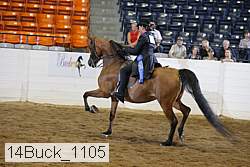14buck_1105 proof