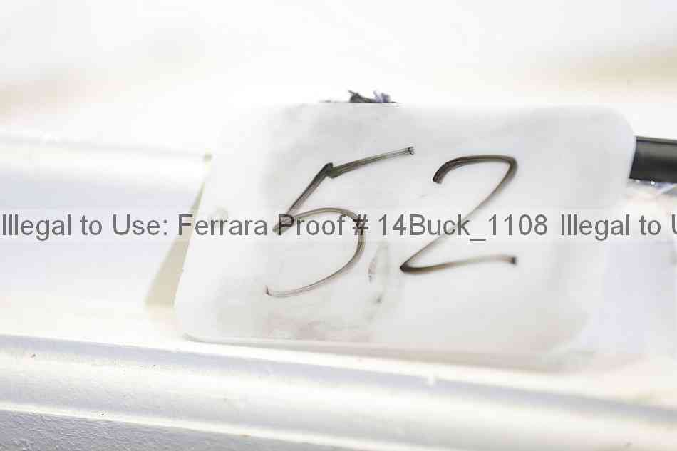 Proof 14buck_1108