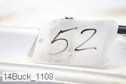 14buck_1108 proof