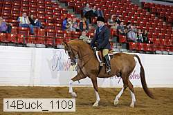 14buck_1109 proof