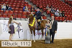 14buck_1112 proof