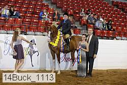 14buck_1113 proof