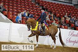 14buck_1114 proof