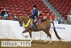 14buck_1115 proof