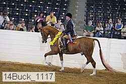 14buck_1117 proof