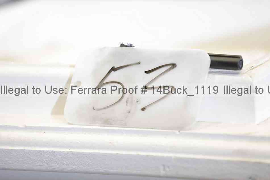 Proof 14buck_1119