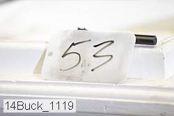 14buck_1119 proof